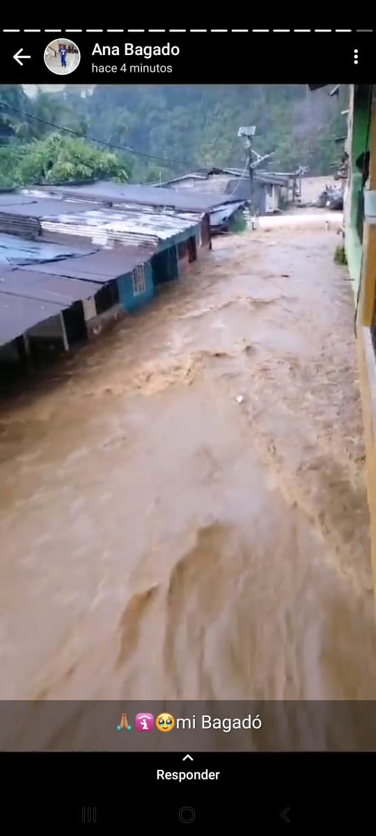 SebastianArceb's tweet photo. Por favor señor @petrogustavo ayudar al municipio de Bagadó, necesitamos intervencion del estado para esta crisis que atraviesa este bello municipio.
@GustavoBolivar @CMILANOTICIA @MinAmbienteCo @cruzrojacol @GobChoco https://t.co/OuHfg0KG6R
