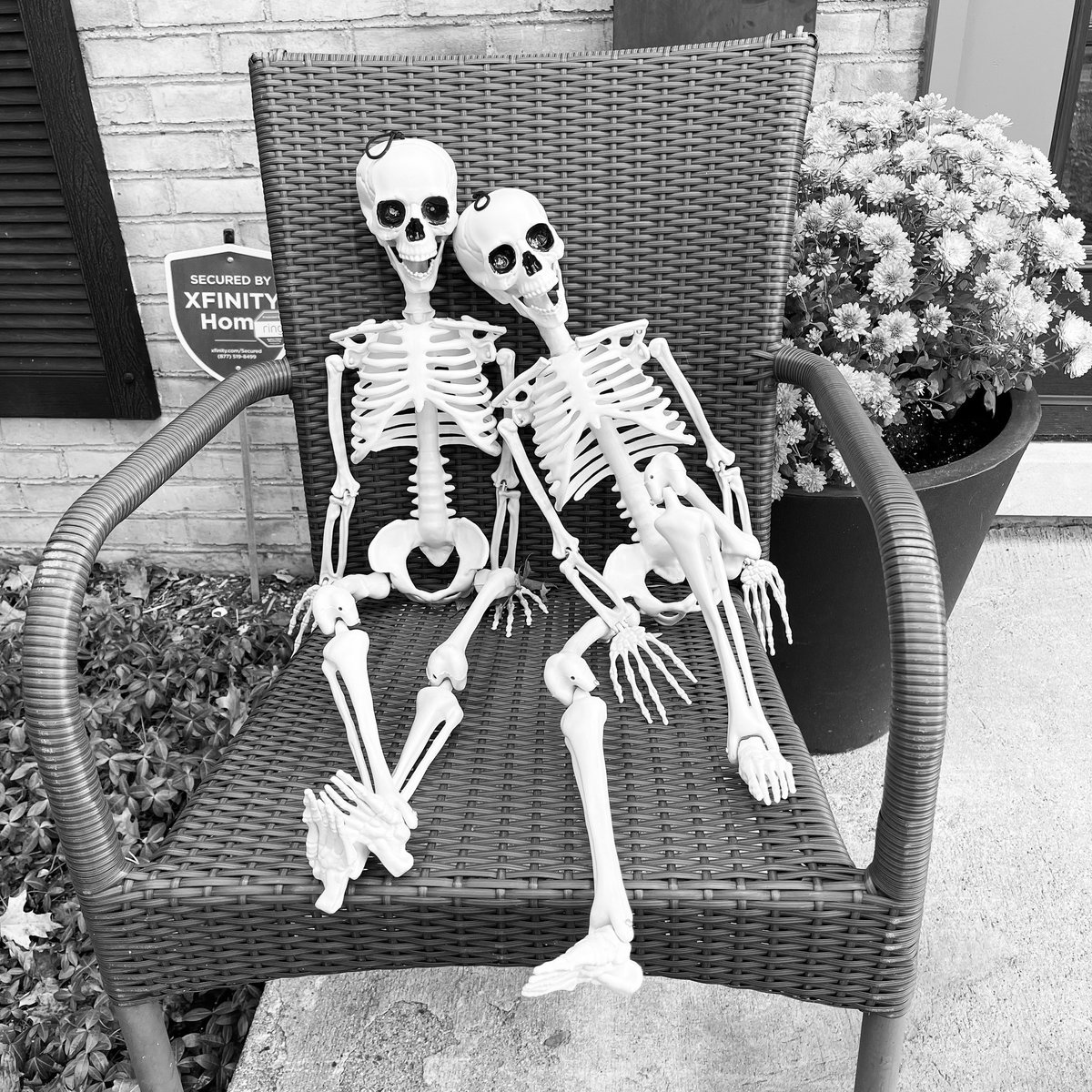 Happy October 12! 💀❤️💀

#october #halloween #spooky #truelove #tildeathdouspart #skeleton #loveyourskin