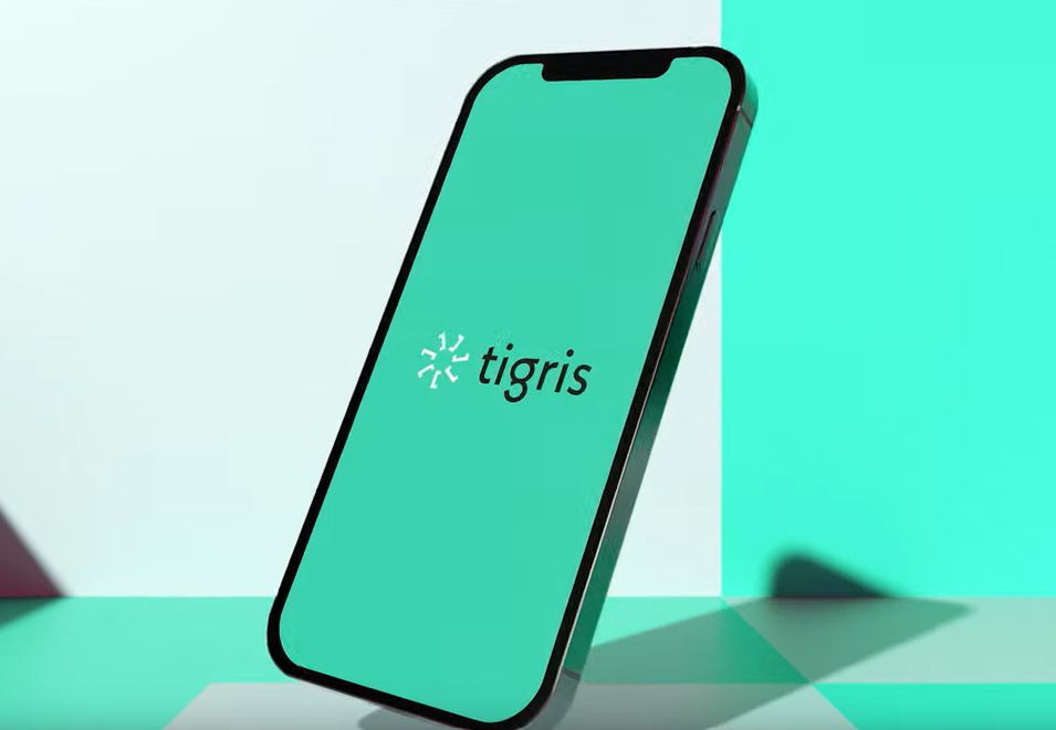TimNieuwenhout's tweet photo. Nieuwe app van Tigris moet kandidaten ultieme sollicitatie-ervaring bieden https://t.co/ooP4kYlbzt https://t.co/NutAGJR2j9
