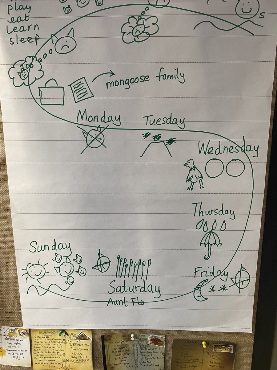 St Cuthbert's School tweet media