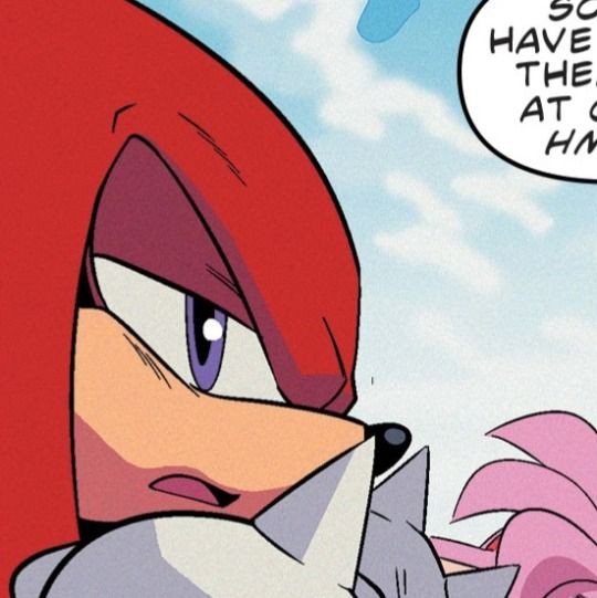 “...Knuckles.”

Straight to introducing themselves? He doesn't trust it.