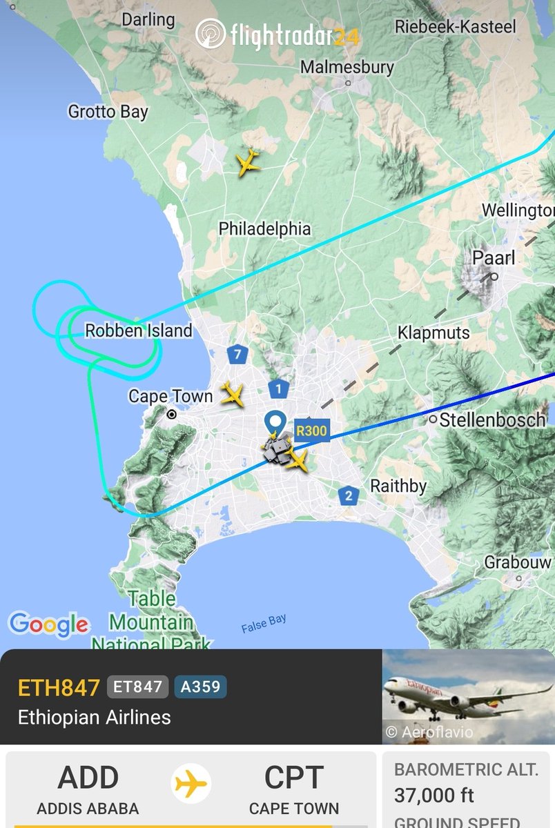 Sandras J Phiri tweet media