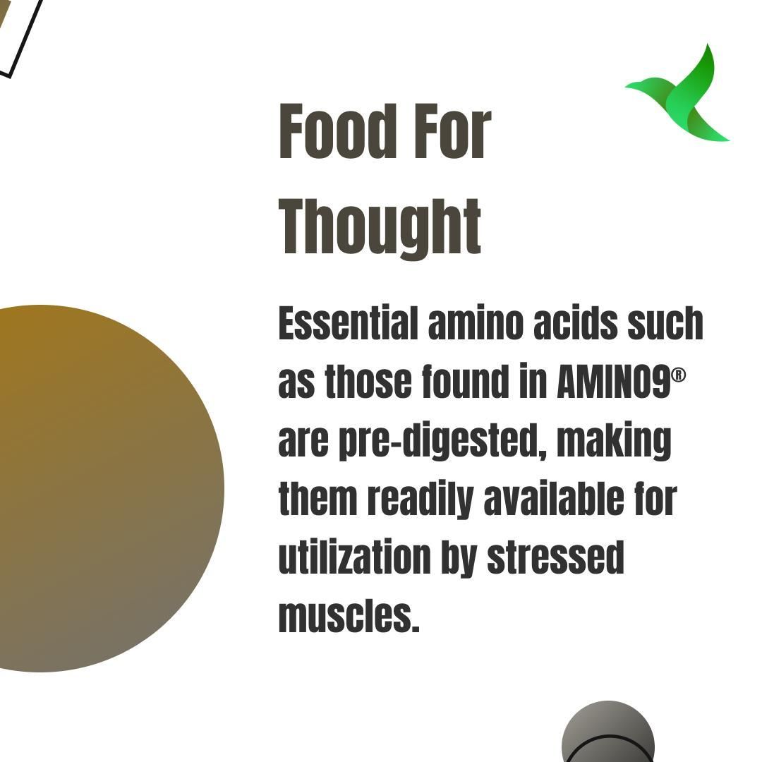genmagofficial's tweet image. Introducing AMINO9® by Compound Solutions - the perfect blend of nine essential amino acids that help build muscle, increase strength, achieve faster recovery, and improve athletic performance. #Amino9 #GenMag #CompoundSolutions