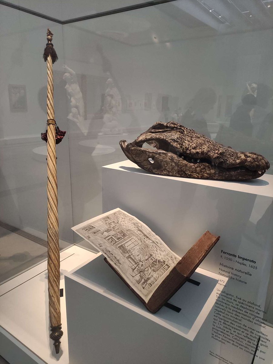 MuserAvec's tweet image. Je ne m'en lasse pas!!!!! photos de ma dernière visite au @MuseeLouvreLens pour l'exposition "Animaux Fantastiques" #louvrelens #expoAnimauxFantastiques @hautetforthdf