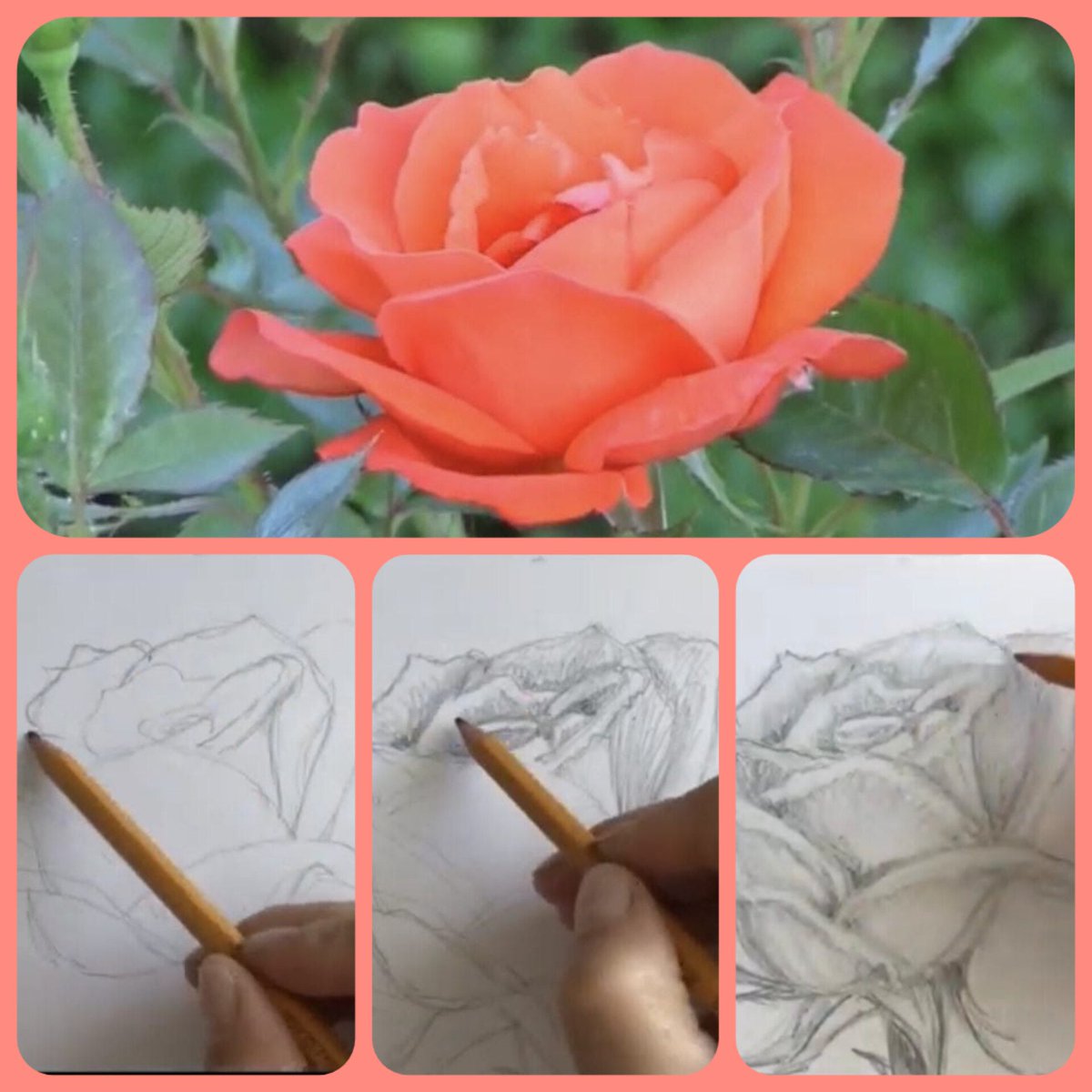 Dibujar no sólo es agradable, sino también útil 👩‍🎨. Esta es una gran oportunidad para expresarte, tus pensamientos y sentimientos 🎨🖌. ¡Intenta dibujar esta hermosa rosa ahora mismo! 👇🌹
youtu.be/cVXDWuK6z0k

#beautiful 
#WORLDISBEAUTIFUL 
#weekend 
#30settembre
#traveling
