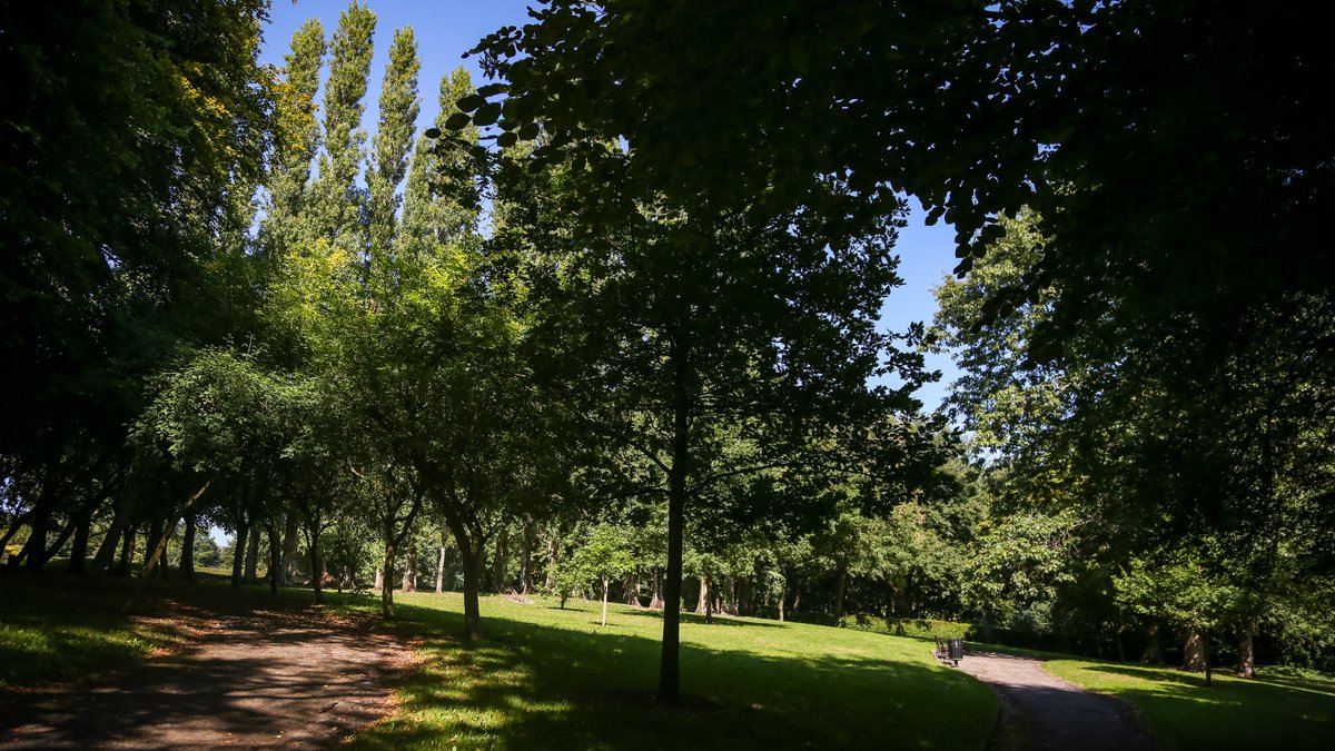 Verdin Park is a lovely space for a stroll and getting some exercise 🏞️ While some hilly areas require a bit of effort, the park is well-maintained and offers a delightful mix of scenery. Plus, there's a fantastic play park for the kids to enjoy. 📸 Karl Brooks Photography