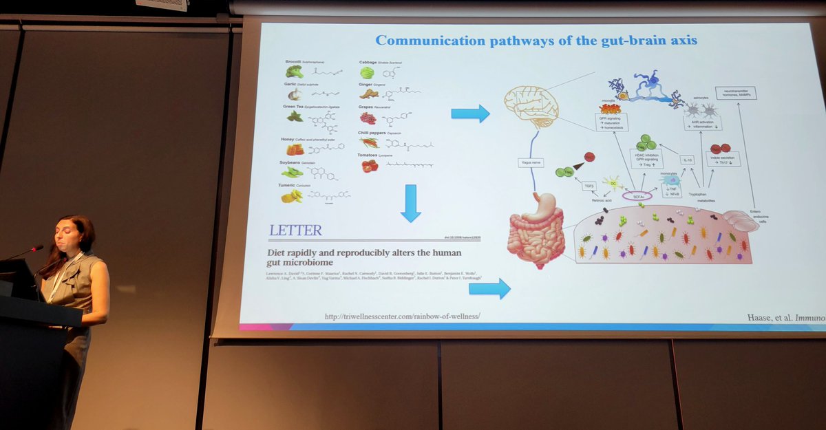 SarahLevyPhD's tweet photo. My favorite slide from Dr. Ilana Katz Sand's excellent presentation on diet and MS at #MSMilan2023 showing chemical compositions of foods. Just as we may pay attention to medications we take, the same care can be taken with what we eat 🥑🍇🥬 

@ECTRIMS #ECTRIMS https://t.co/xv0XBqzuhR