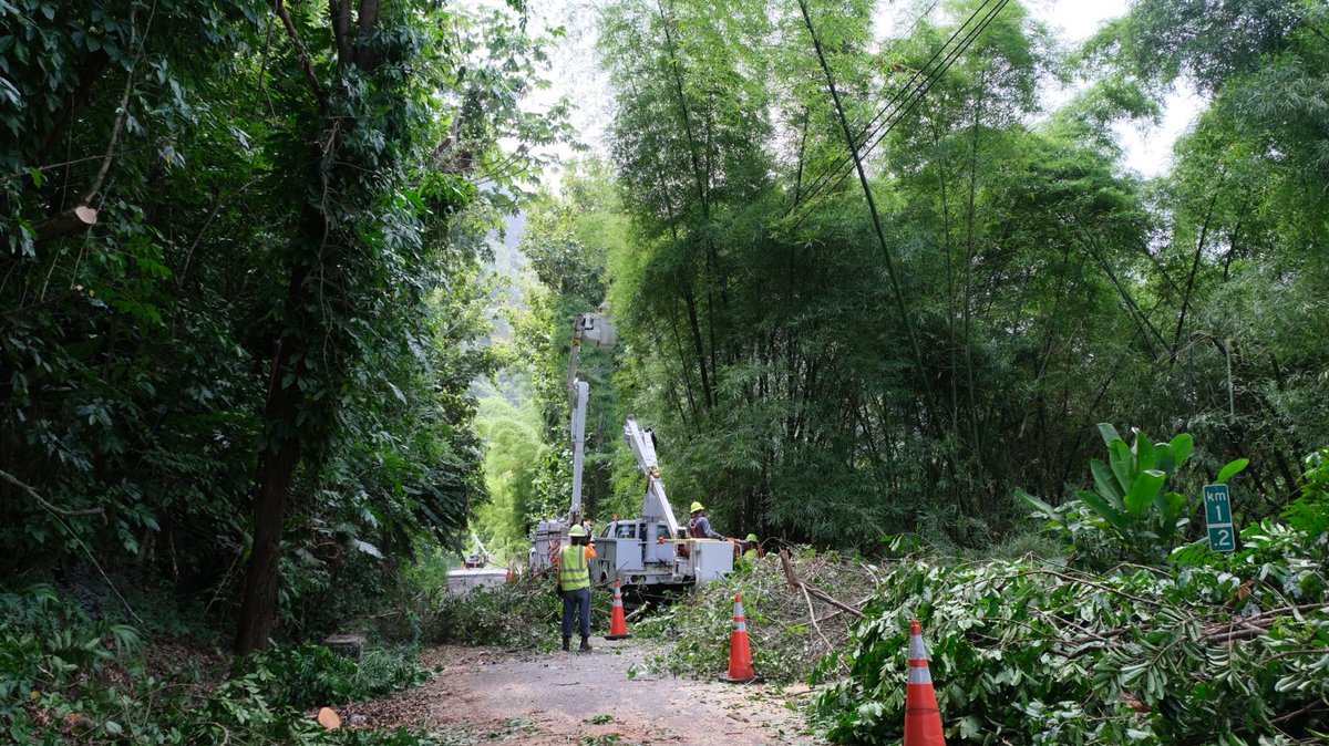 lumaenergypr's tweet photo. Recientemente, se despejaron maleza de una línea de transmisión importante en #Arecibo. Hasta el día de hoy, LUMA ha despejado sobre 3,500 millas de vegetación de líneas de transmisión y distribución en toda la isla. Aumentando la resiliencia y confiabilidad. #ProgresoDeLUMA https://t.co/veMFw1JY8O