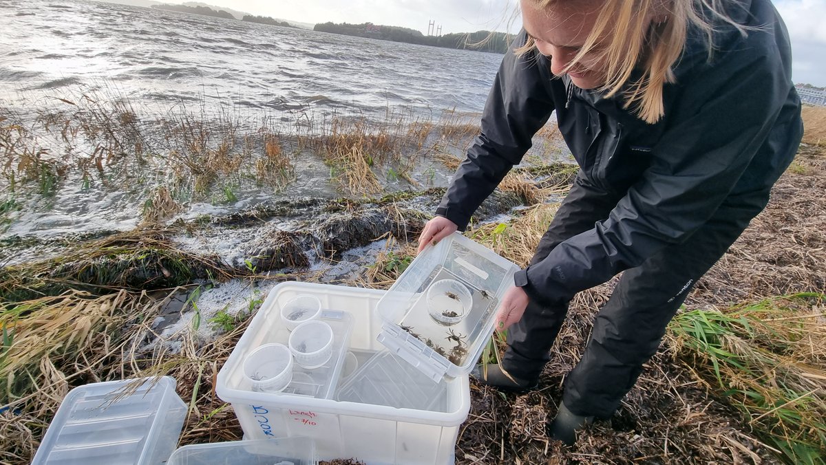 @ISAP-SWEDEN tweet media