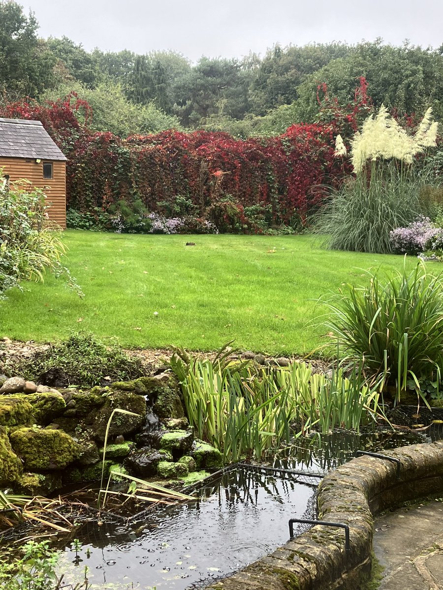 caronlb's tweet photo. Just making myself a cuppa and thinking how lovely the garden is looking as we dip into autumn https://t.co/fkochpfbov