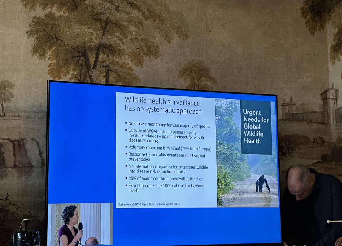Monica Medina (@monicamedinadc) on Twitter photo The <a href="/TheWCS/">WCS</a> and <a href="/BMZ_Bund/">Bundesentwicklungsministerium</a> @BMUV <a href="/FAO/">Food and Agriculture Organization</a> <a href="/UNEP/">UN Environment Programme</a> <a href="/WHO/">World Health Organization (WHO)</a> <a href="/giz_gmbh/">GIZ</a> and <a href="/WOAH/">World Organisation for Animal Health</a> are hosting a great meeting on #OneHealth. It's simple. We won't have healthy people or economies without a healthy planet. 🌎 The <a href="/TheWCS/">WCS</a> and <a href="/BMZ_Bund/">Bundesentwicklungsministerium</a> @BMUV <a href="/FAO/">Food and Agriculture Organization</a> <a href="/UNEP/">UN Environment Programme</a> <a href="/WHO/">World Health Organization (WHO)</a> <a href="/giz_gmbh/">GIZ</a> and <a href="/WOAH/">World Organisation for Animal Health</a> are hosting a great meeting on #OneHealth. It's simple. We won't have healthy people or economies without a healthy planet. 🌎