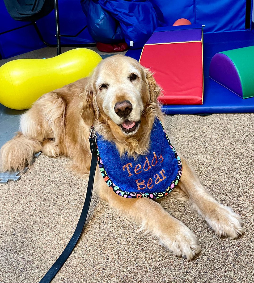 Sadly, we have lost another special Roxy Dog – sweet Teddy Bear has passed away. Teddy was a prominent fixture in Roxy for 12 years and was truly loved by so many of us.