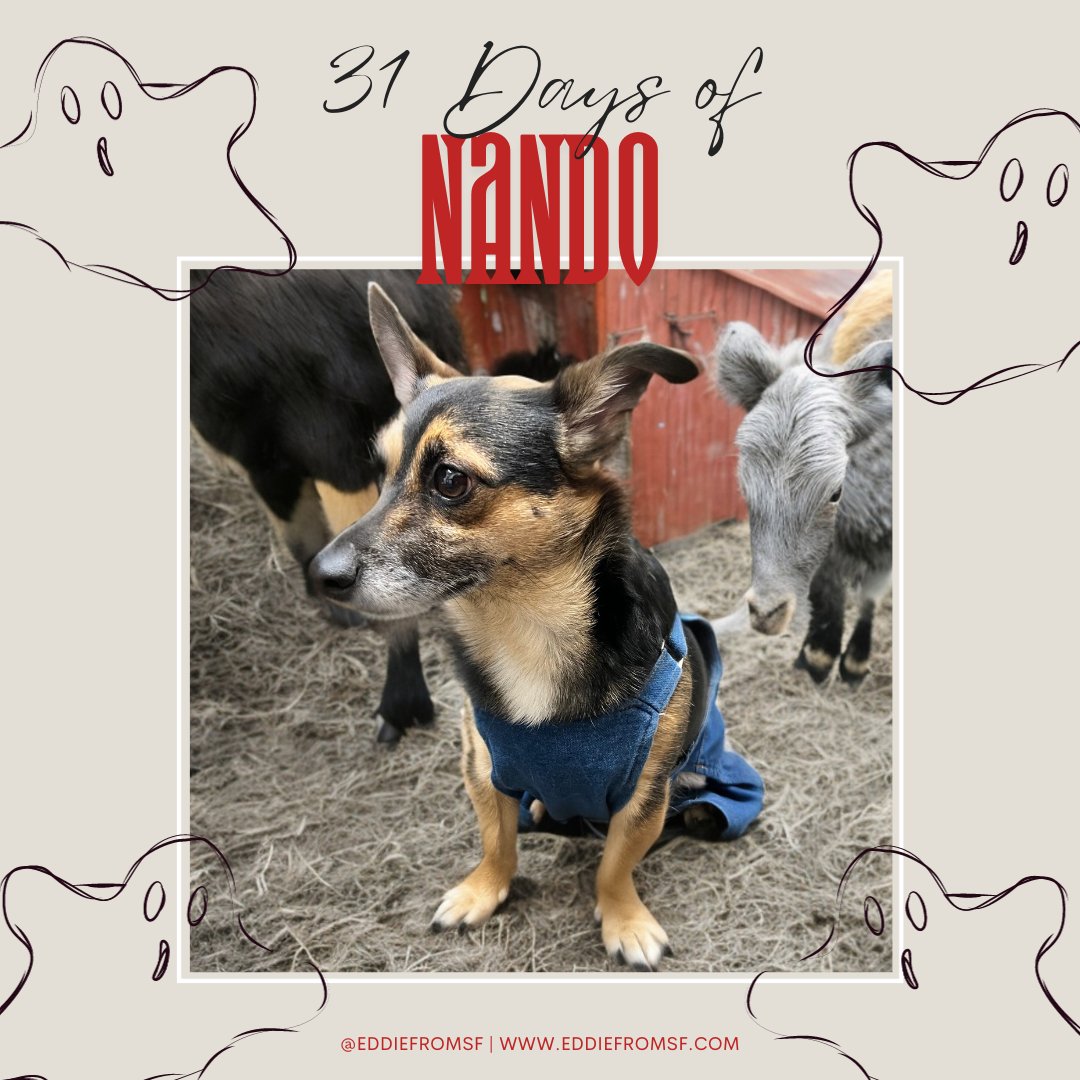 eddiefromsf's tweet photo. Happy #NationalFarmersDay! Nando is ready to tend to the crops and bring in the harvest. Who knew he had a green paw? πΎπΎπ Follow us to see more! #31DaysOfNando #Nando #DogsOfStateFarm #OfficeDog #WorkDog #Halloween #PetCostume #BadAI #FarmerDog #CuteAsCanine #PawsOnTheFarm https://t.co/JBQwxW1Qkk