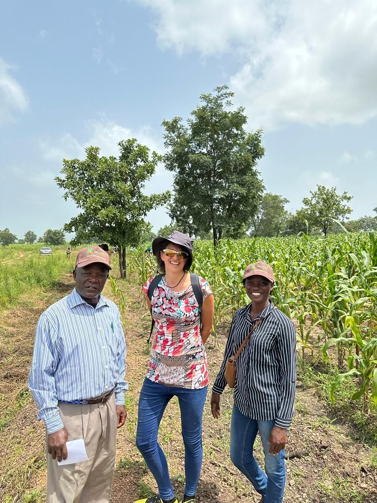 Seed Systems Group tweet media
