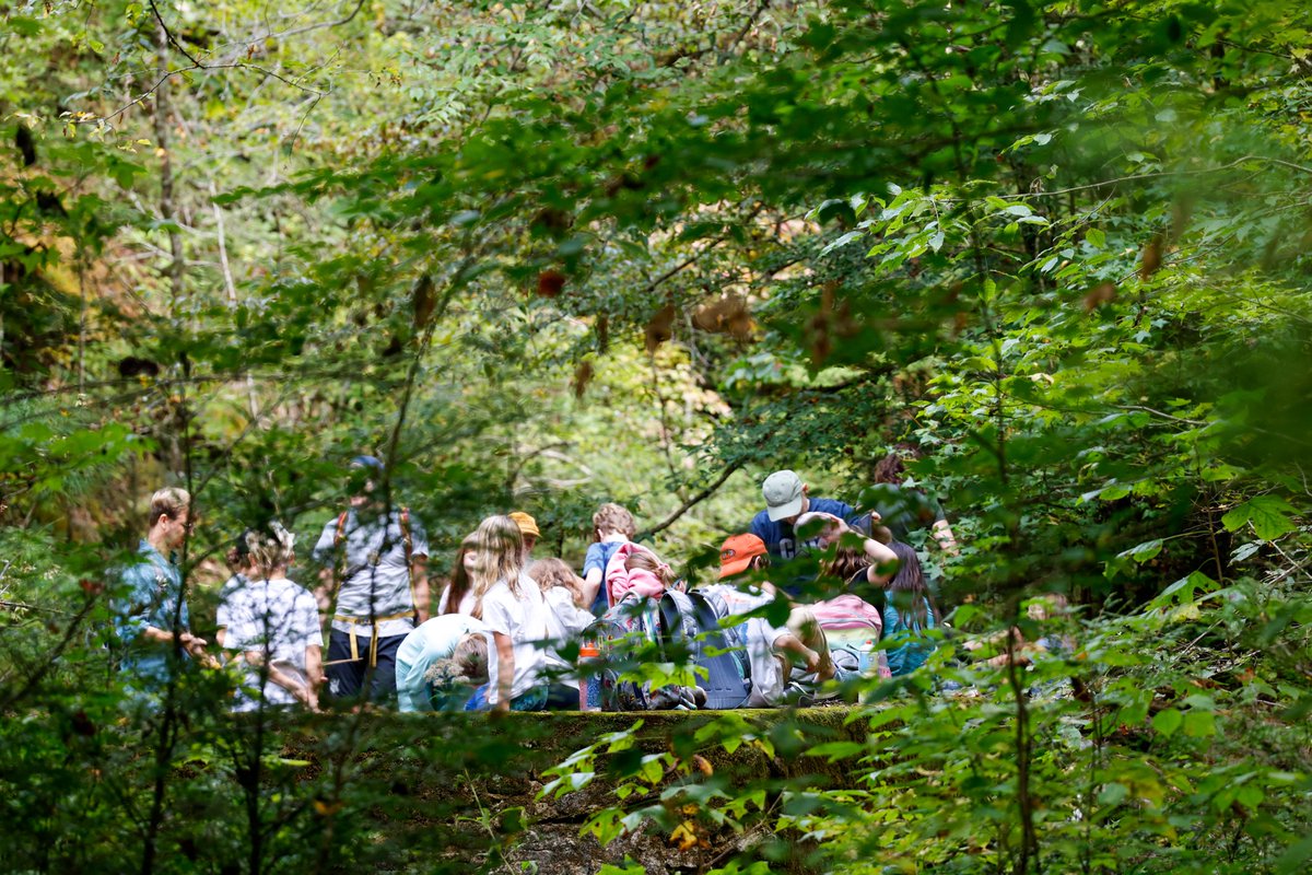 Great Smoky Mountains Institute at Tremont tweet media