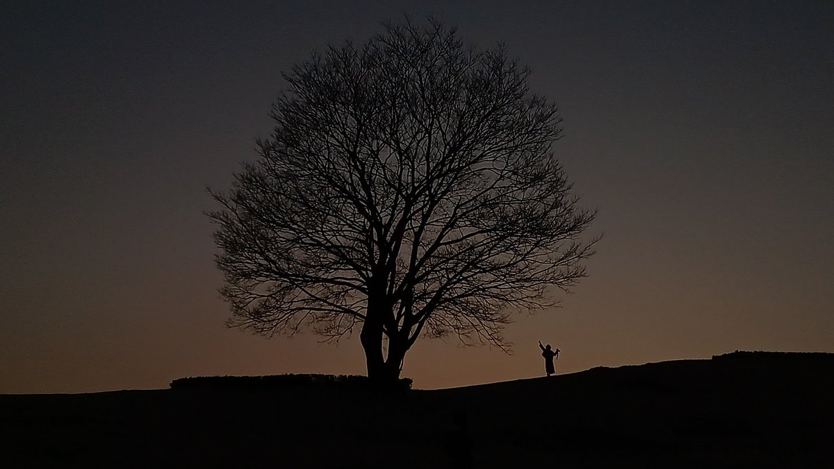 서아지 tweet media