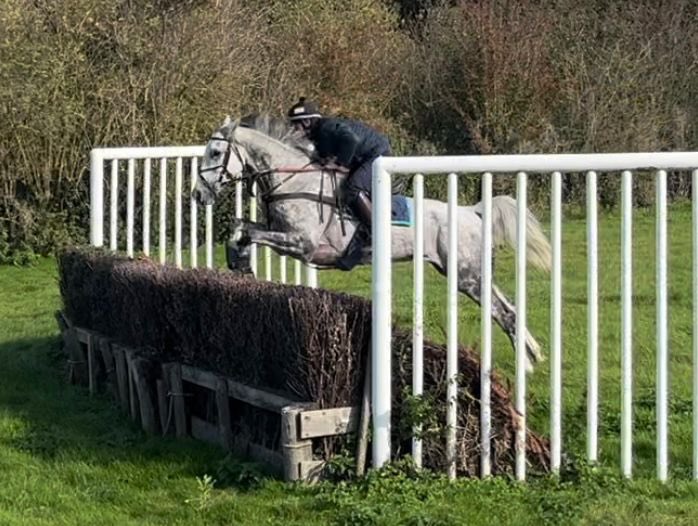 Henrietta Knight tweet media