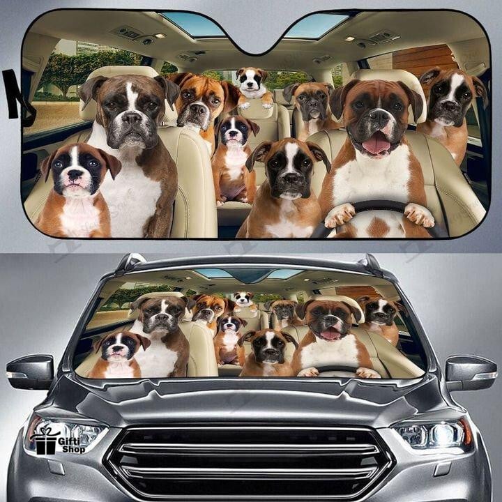 Boxer_heaven99 tweet media