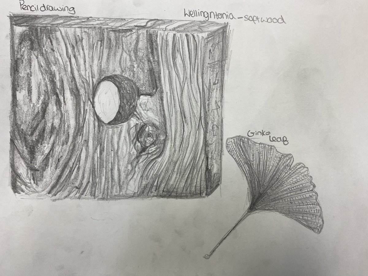 Design & Technology | St John's College, Cardiff tweet media