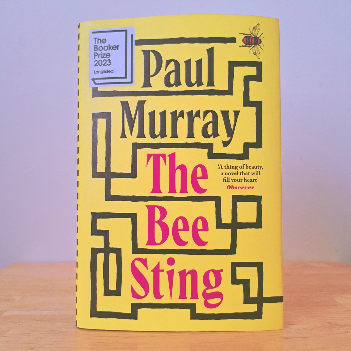 I have just finished #TheBeeSting by Paul Murray. 

I took my time with this family saga. As the threads unravel we discover more and more about this troubled and complex family. Brilliantly written and expertly crafted. This is fiction at its very finest. Essential reading!