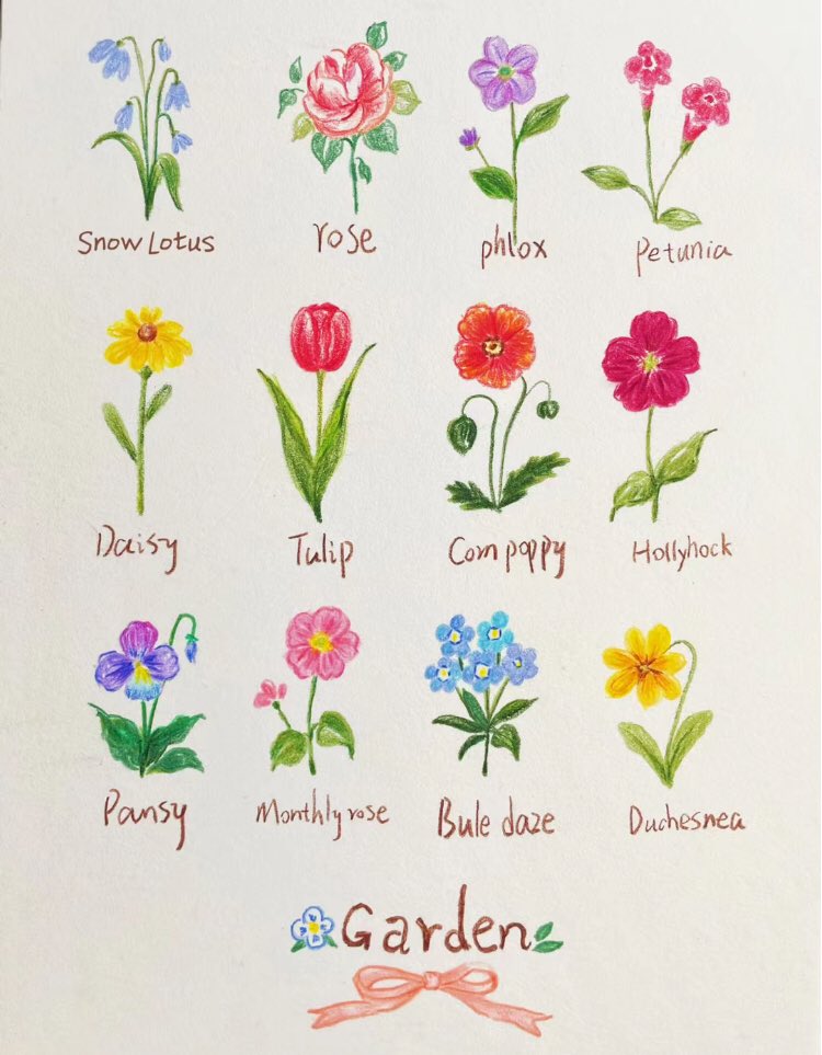 flowers <3