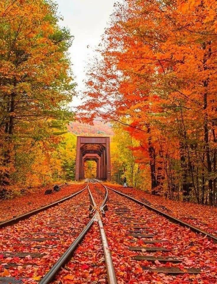 Beautiful 

(📷Pinterest)