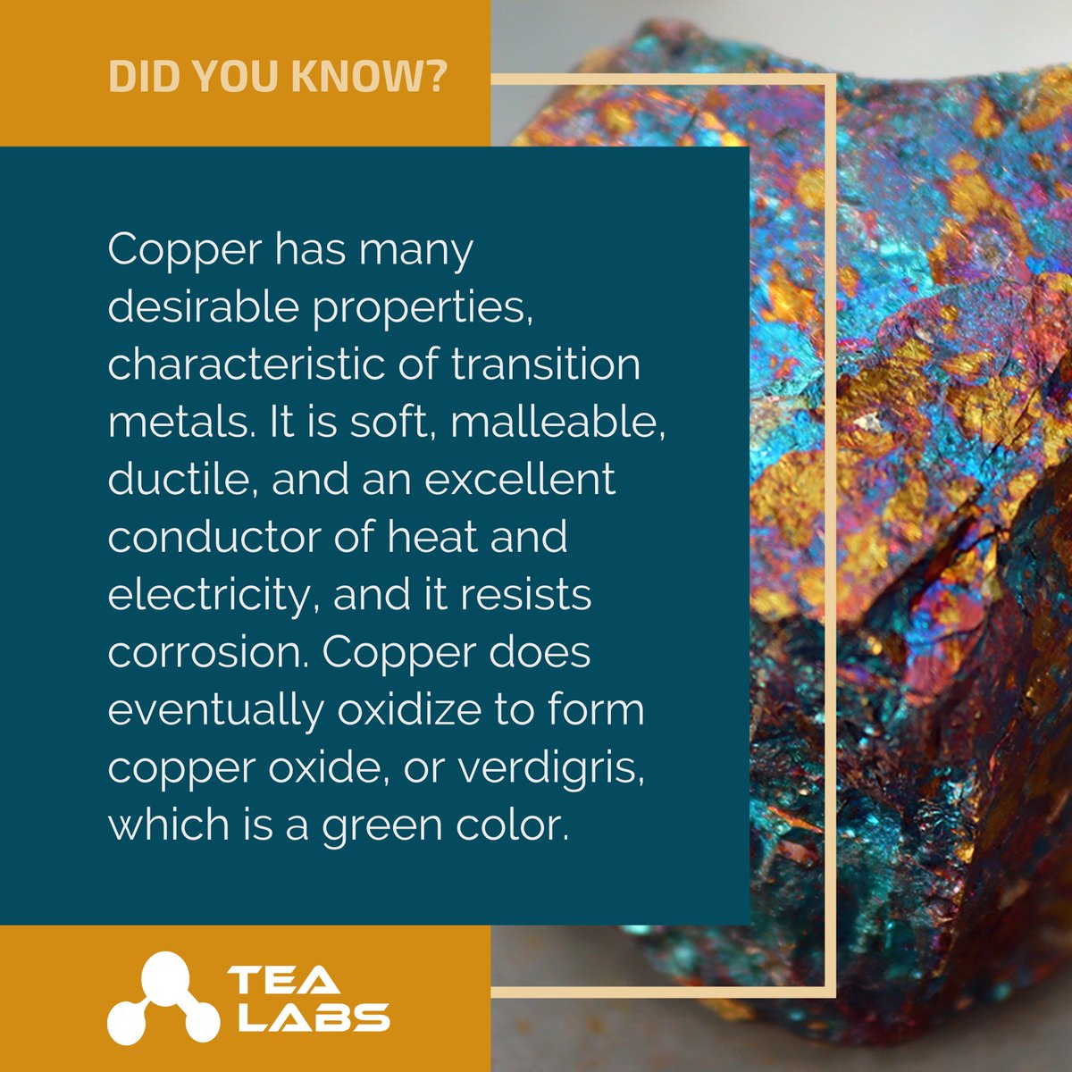tealabsnam's tweet photo. Did you know this about copper?

#facts #mining #elements #metals #copper https://t.co/3W2EbKCelE