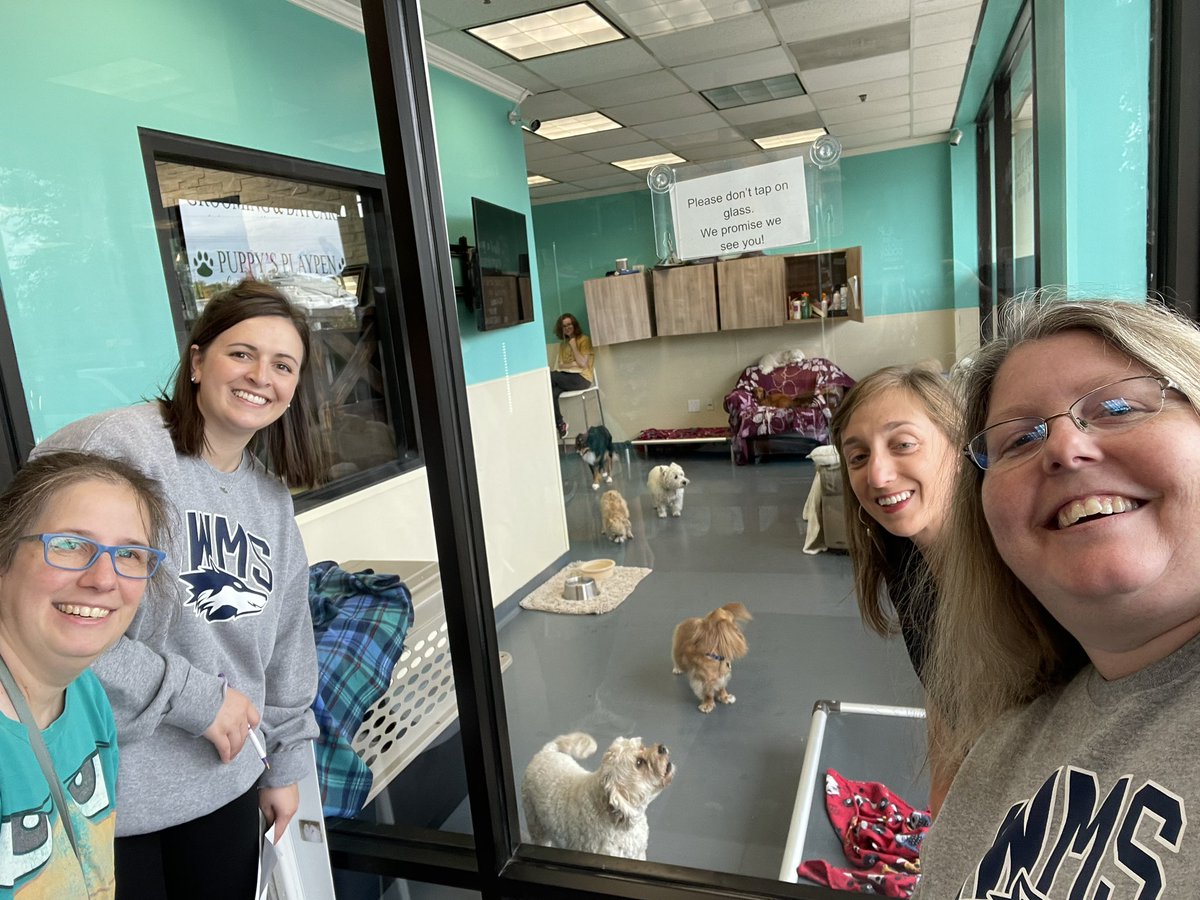 scrutonsci7's tweet image. Dogs! @lwarren30 #wolvesshine