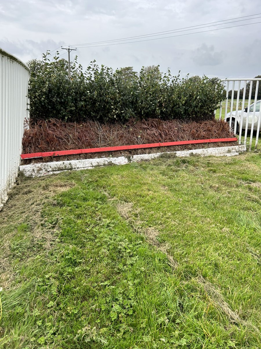 Henrietta Knight tweet media