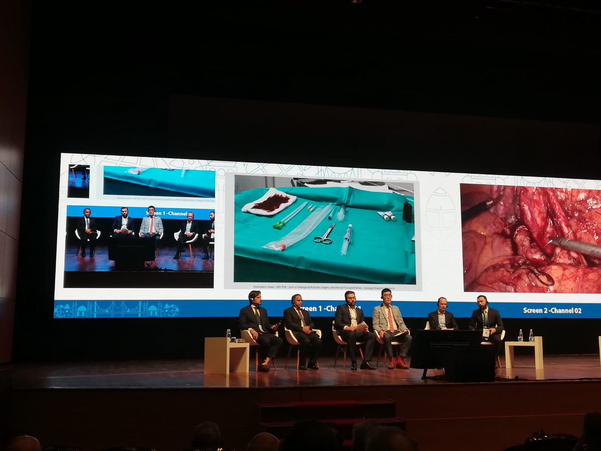 FraSessa88's tweet photo. Excellent semi live surgery session on MISTs for #BPH #BPO at #SIU2023Istambul 
Proud to have brought my experience with TPLA to Istanbul 🇹🇷
@ElestaSpA https://t.co/Yn38DQLm3h