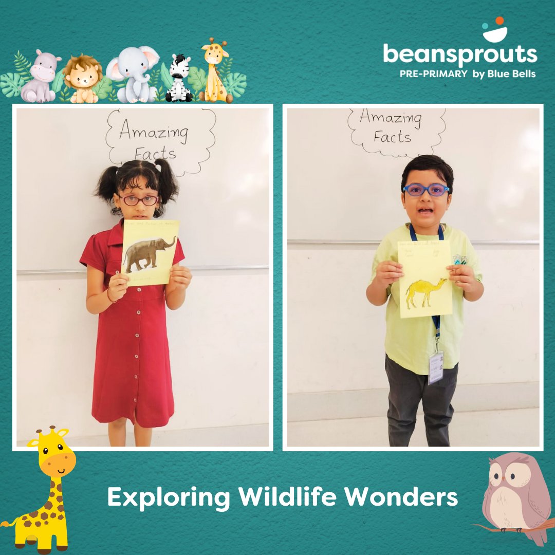 Students embarked on a fascinating exploration of the animal kingdom, showcasing captivating creatures through vibrant visuals and intriguing facts. 
A day of discovery and creativity, enhancing knowledge in an engaging and fun way!
#BeansproutsPreprimary #BestSchoolInGurugram