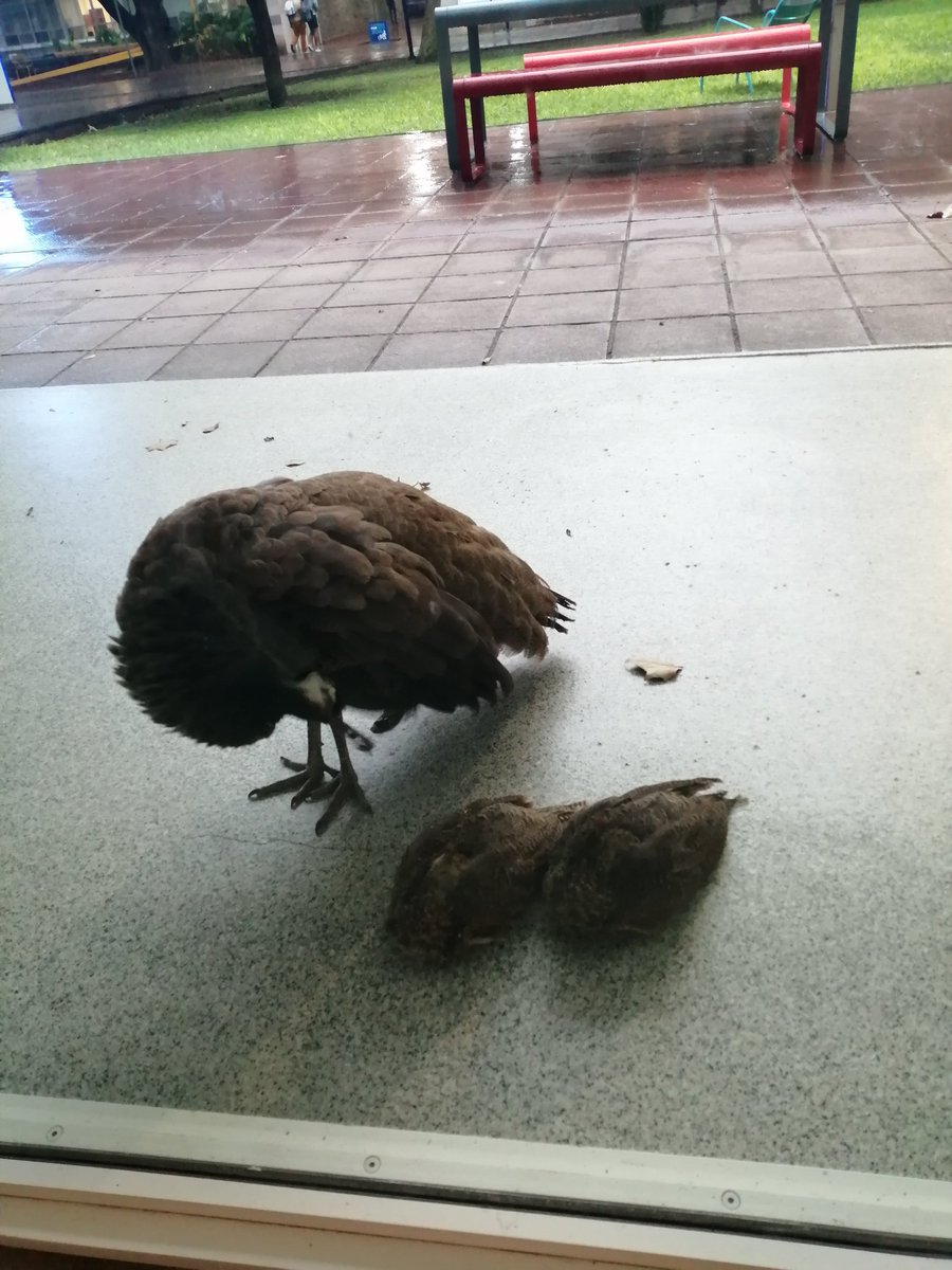 alejdiazd's tweet image. #monterrey #tecnologicodemonterrey