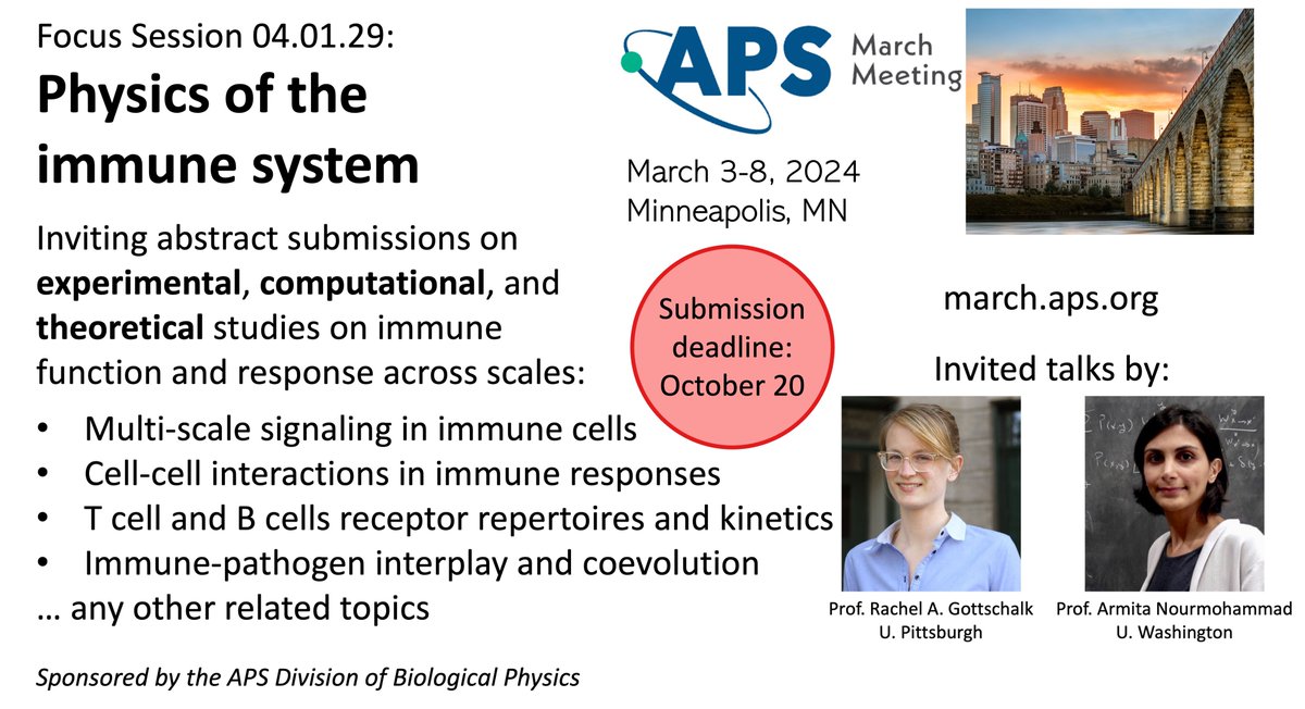 Interested in the principles underlying immune regulation and function across scales? Submit your abstracts to the @ApsDbio focus session on 'Physics of the immune system' at the upcoming #apsmarch meeting. Experimental, computational, theoretical: all approaches welcome!