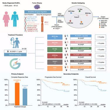 Genetic subtype-guided immunochemotherapy in diffuse large B cell lymphoma: The randomized GUIDANCE-01 trial dlvr.it/SxLhzS