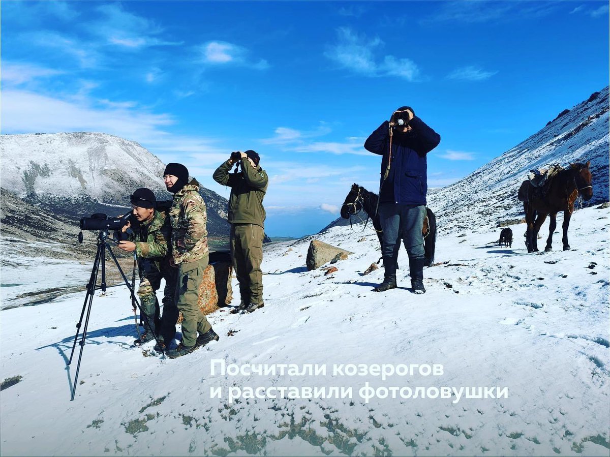 Ilbirs Foundation tweet media