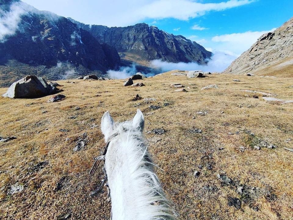 Ilbirs Foundation tweet media