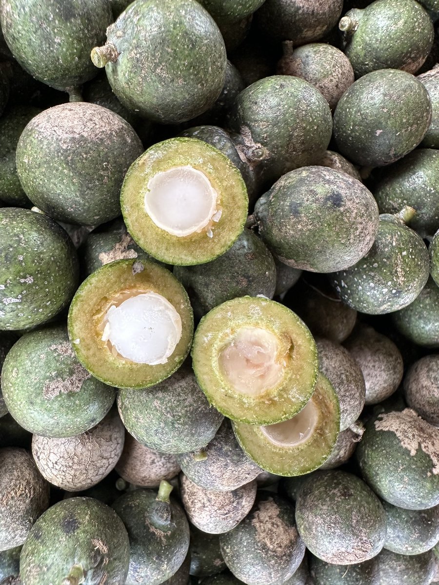 Kyle Jennermann tweet media