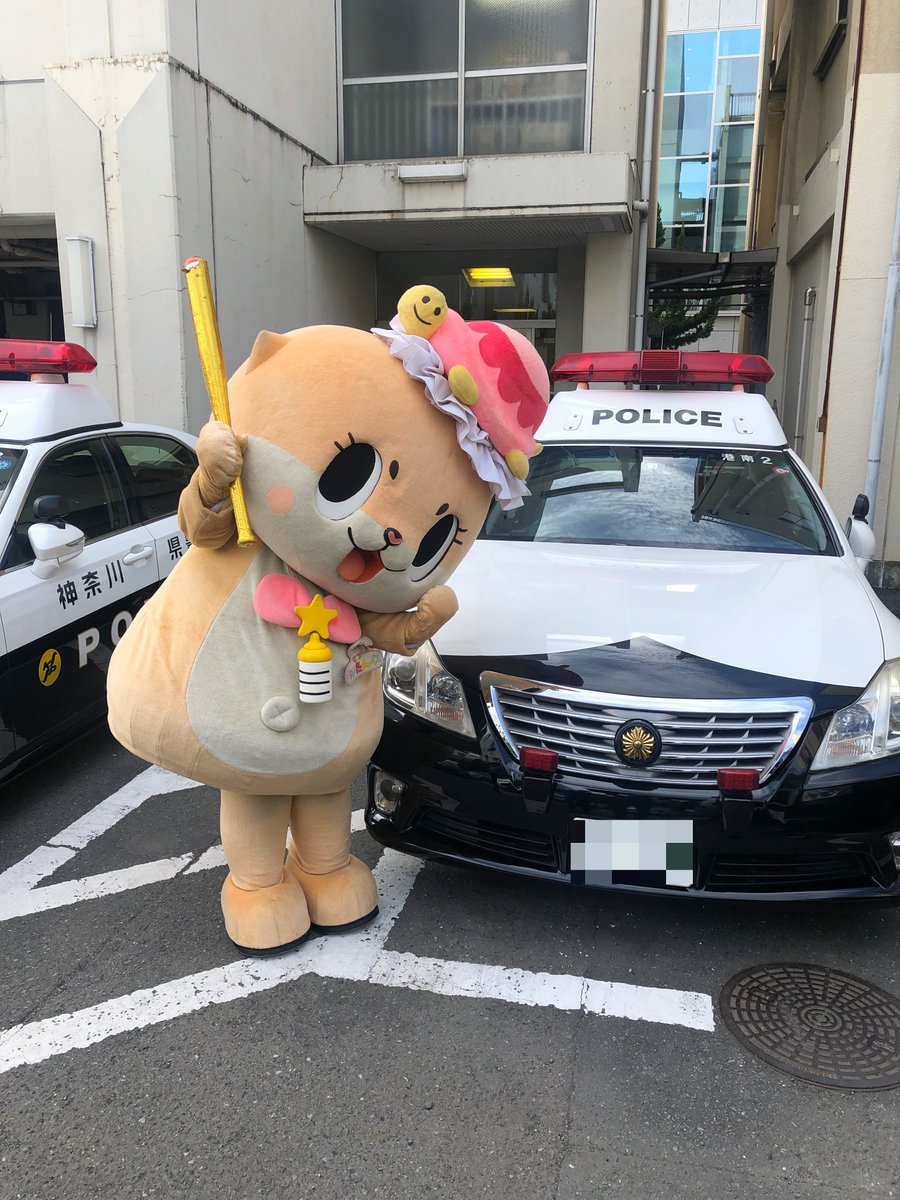 chiitankiss's tweet photo. 実は、昨日は神奈川県警 港南署にも行ってきました!!
ちぃたん☆はパトカーに夢中でしたよ😊
この後、署長さんにご挨拶をして、ちぃたん☆のサインを受け取っていただきました!!
署長室の署長さんの椅子にも座らせていただきましたよ🐻
動画も撮らせていただいたので、どこかで出していきますね!! https://t.co/wr19Nx8in4