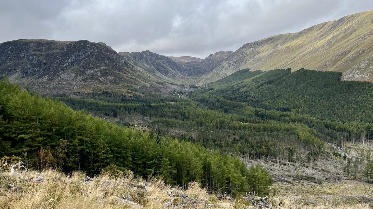 Yes Mayar & Driesh are a good walk, but the stars of the show are Corrie Fee & the view up Jocks Road. All with a soundtrack of roaring stags. @walkhighlands #munros #walkclimbski
#outandaboutscotland
#WalkYourWay
#getoutside
#thegreatoutdoors
