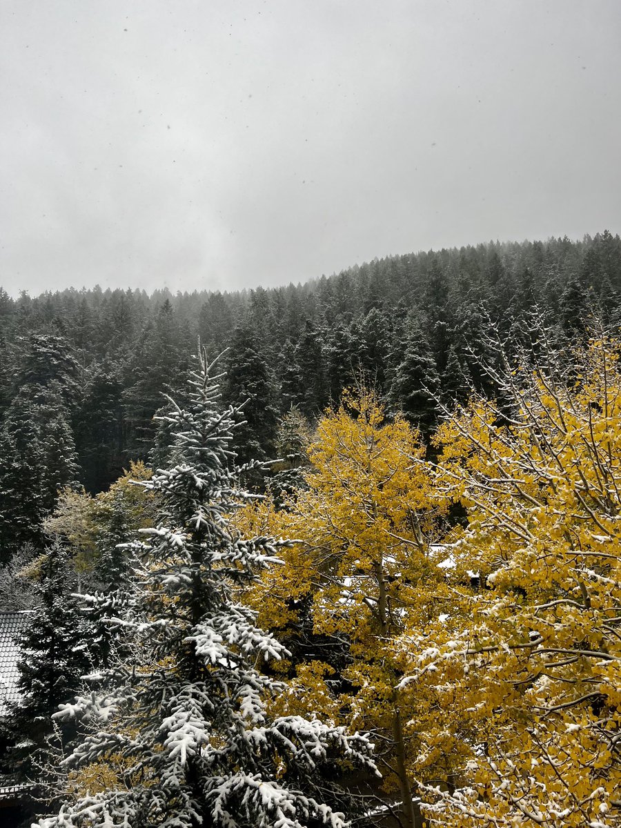 OneWhiskeyHotel's tweet photo. First snowfall of the season! https://t.co/3VoQS6BJfX