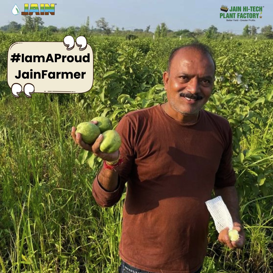 JainIrrigation's tweet photo. सुनिए Jain Guava Graftlings ki कहानी! 💭
Khud #JainGuava और #JainFarmer ki ज़ुबानी 😃
Inframe: Guava Plantation of 800 #TissueCulture Plants 🌱 in Palaswada
#IAmAJainFarmer
#JainGuava #JainPlantationMaterial #HiTechPlantFactory #AgTech #JainDrip #JainIrrigation #JISL https://t.co/zEelH5PqSG