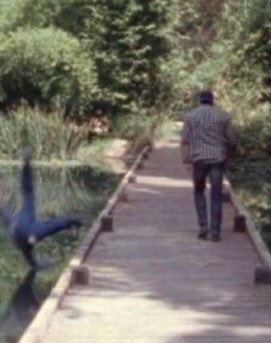 Gosto de the                Mas no final ficou
walking dead               meio chata a série