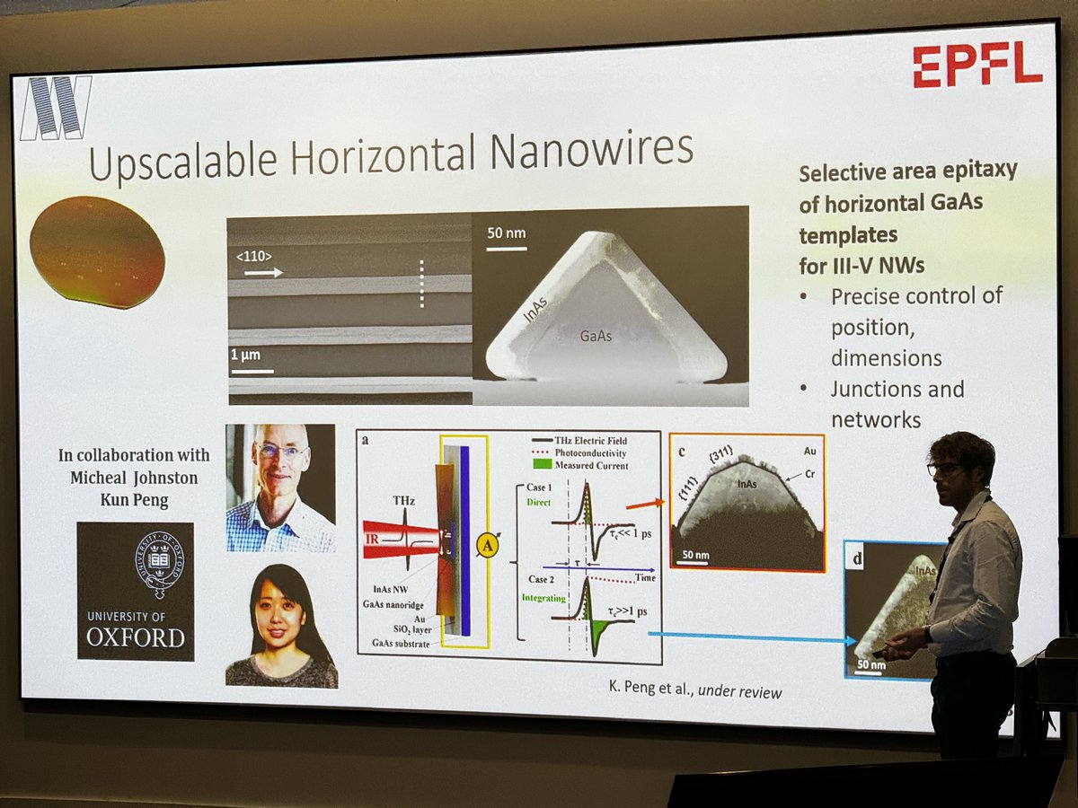 Michael Filler tweet media