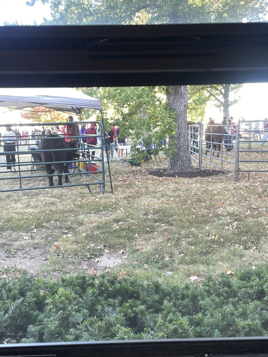 PrncipalRoss's tweet image. Ag Day at Hickman!  Love looking out my window seeing livestock - not necessarily the smell! Ha!  #CPSInspire #CPSBest @HickmanHS