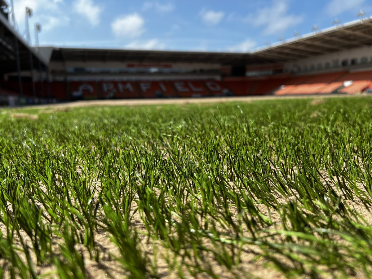 A few shots throughout the year of 2023! It was a busy renovation season but we chewed through it. <a href="/CSportsTurf/">Chappelow SportsTurf</a>