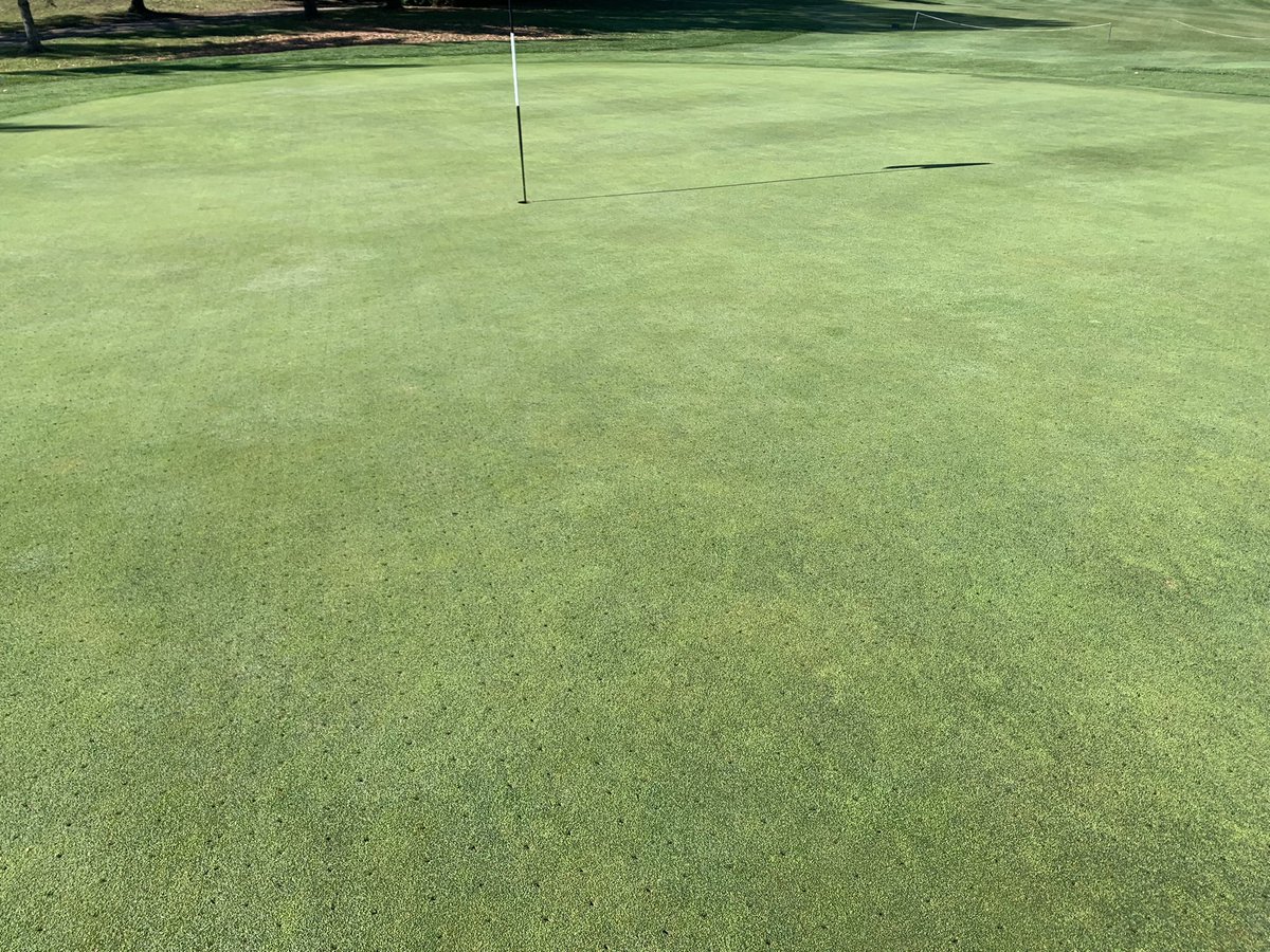 Letting them breathe after a busy year. Coming up great.