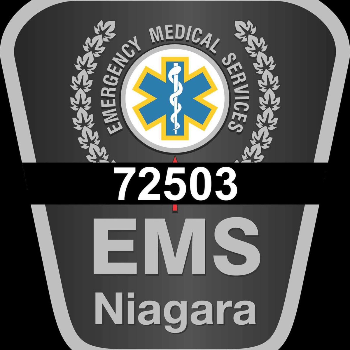 Niagara Paramedics, Dispatchers & OT's tweet media