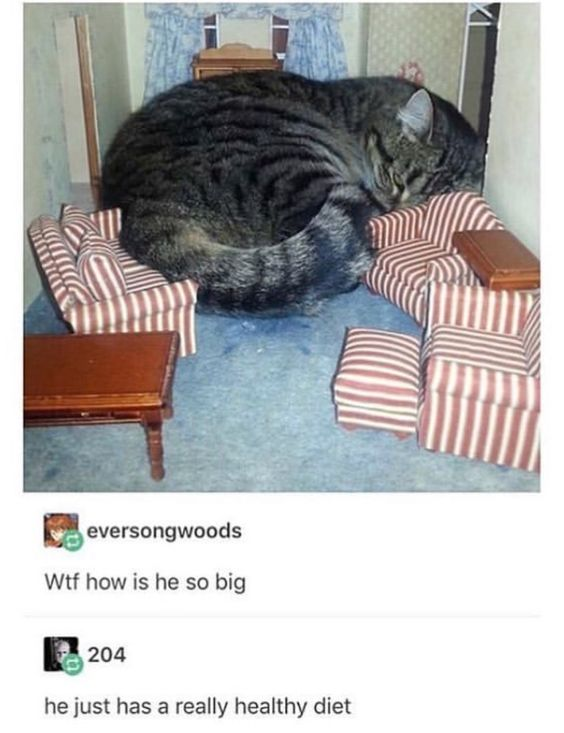 WholesomeMeme's tweet photo. https://t.co/8ElEQsaeLN
