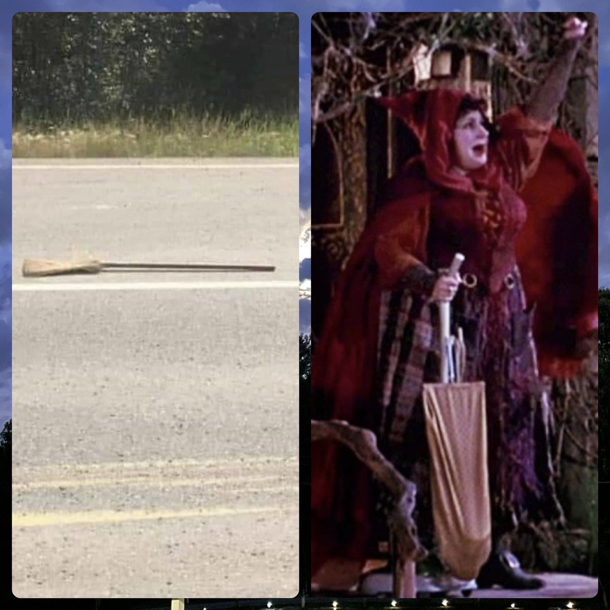 Sherry Reich tweet media