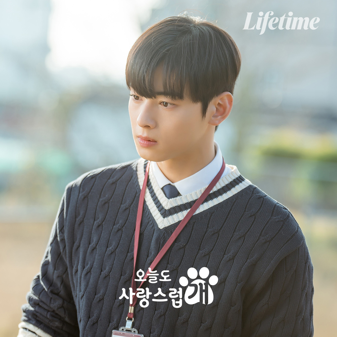 LifetimeKorea's tweet photo. 본격적으로 시작한 <오늘도 사랑스럽개>
왜 때문에 일주일에 한 번만 방송이죠?

첫 방송 기념 털어보는 차은우X박규영X이현우 스틸🥰
(+ 대배우 개나까지)

🐶라이프타임 매주 (수) 밤 11시
#라이프타임 #오늘도사랑스럽개 #오사개 #차은우 #박규영 #이현우 https://t.co/7mc7XXMaA1